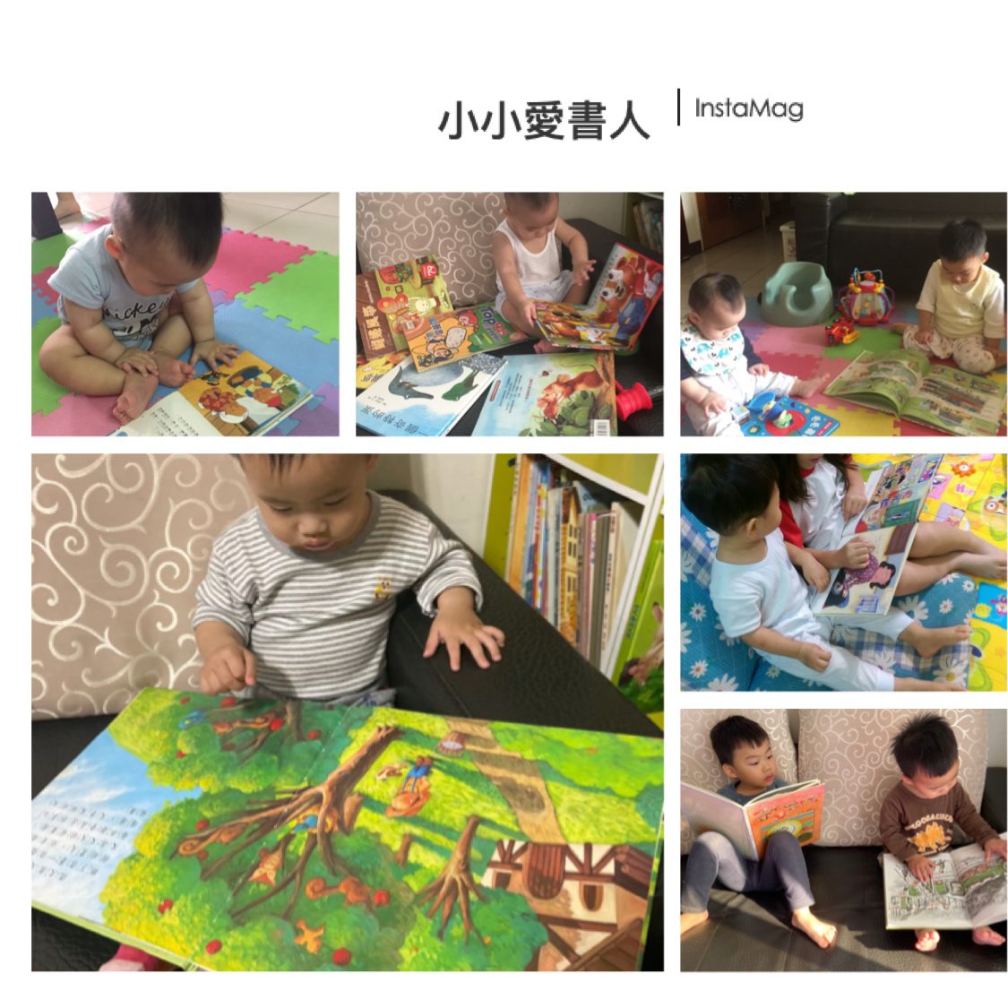 王O芳